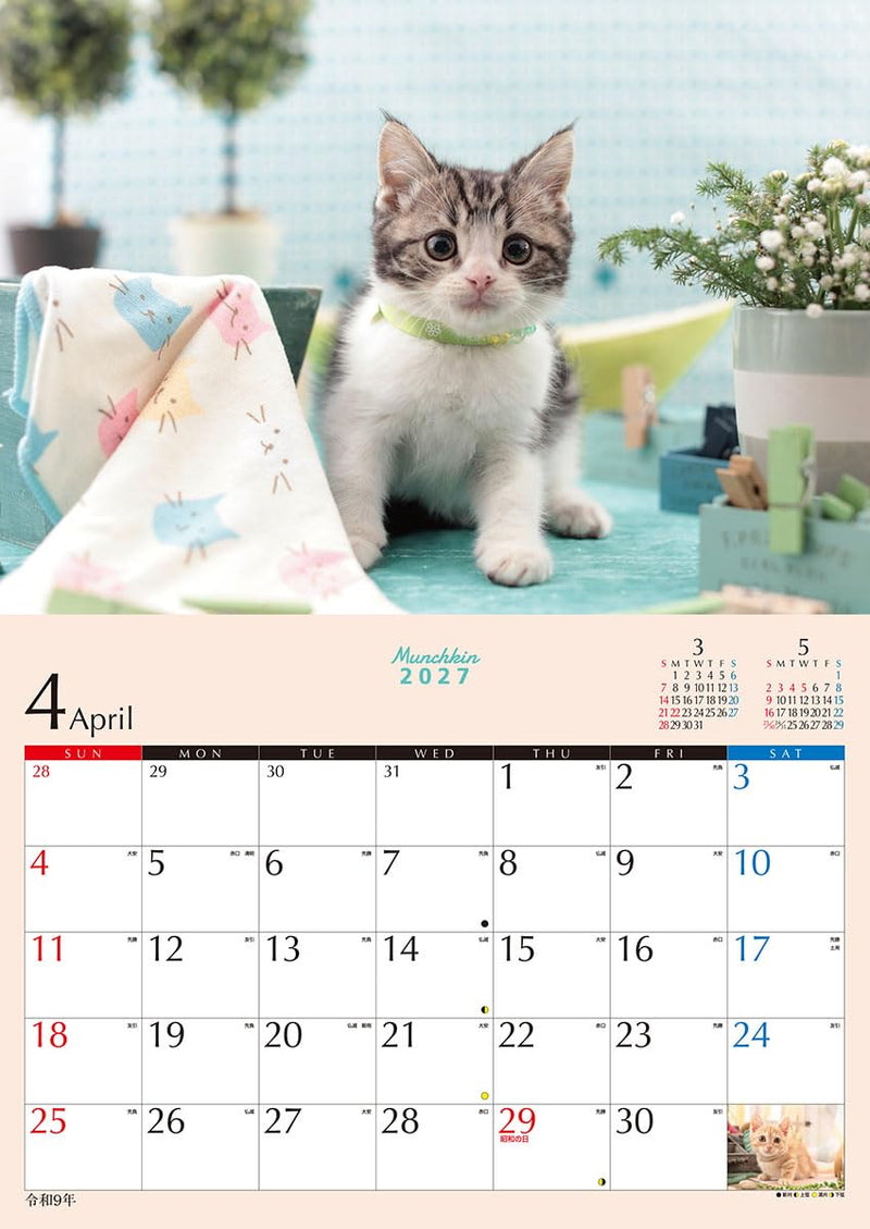 Try-X 2027 Wall Calendar Kitten Munchkin 27CL-382 51x36cm