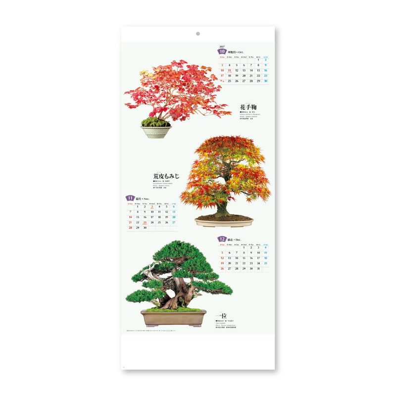 New Japan Calendar 2027 Wall Calendar Bonsai Calendar NK152 770x350mm