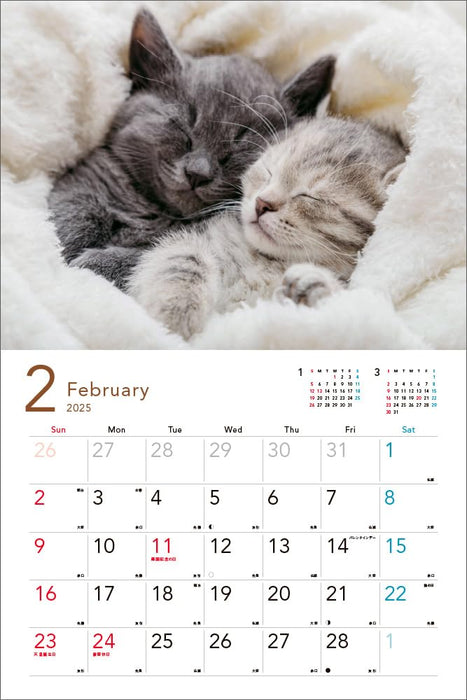 2025 Sleepy Kittens Calendar