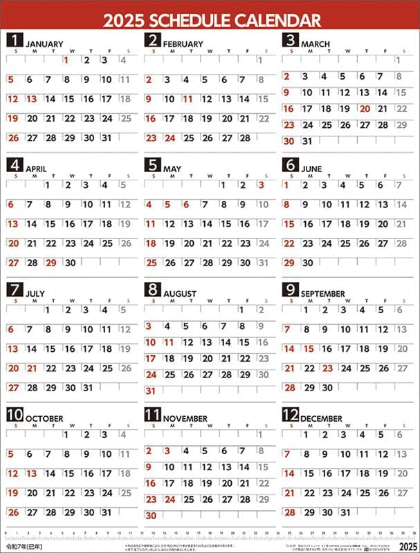 Try-X 2025 Wall Calendar Schedule Vertical Type CL-639 49x37cm
