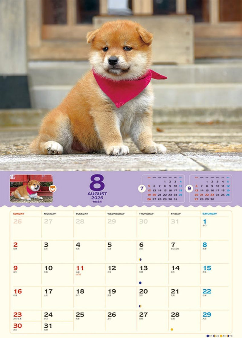 Try-X 2026 Wall Calendar Korokoro Mameshiba CL-381 51x36cm