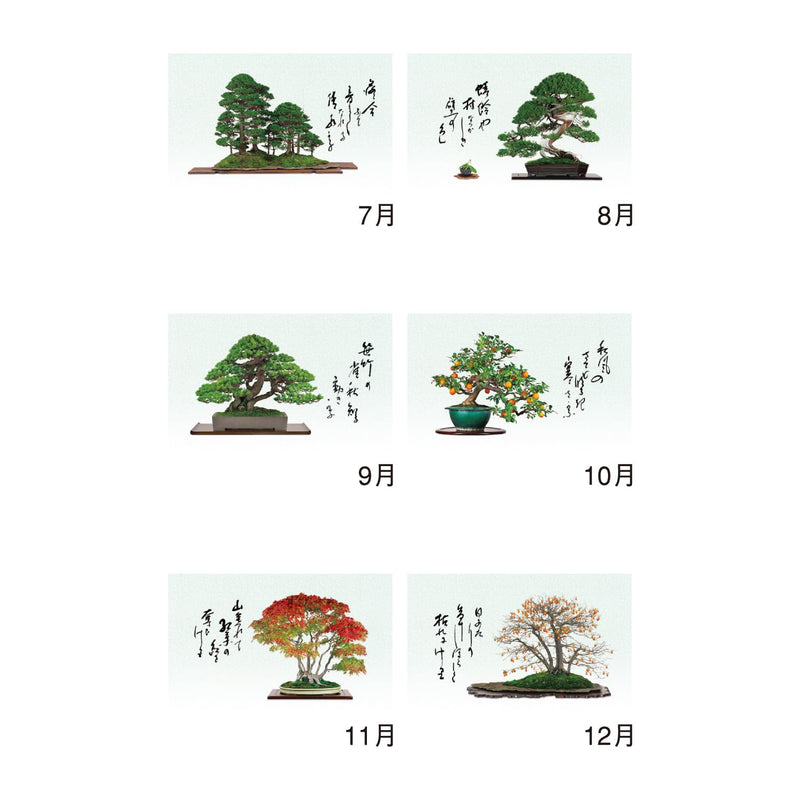 New Japan Calendar 2027 Wall Calendar Ichiboku Isso NK91