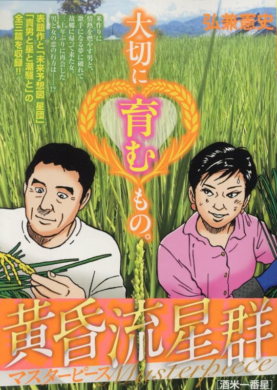 Like Shooting Stars in the Twilight (Tasogare Ryuuseigun) Masterpiece 7 Sakamai Ichibanboshi