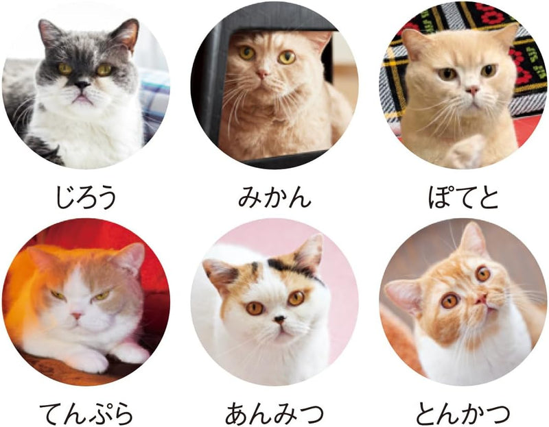 New Japan Calendar 2026 Desk Calendar Life with Cats Mikan to Jirousan Chi NK8527