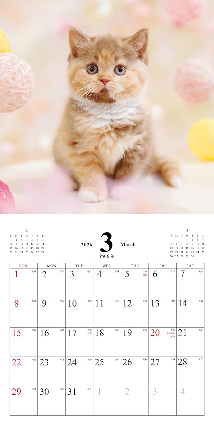 Koneko no Kimochi Calendar 2026