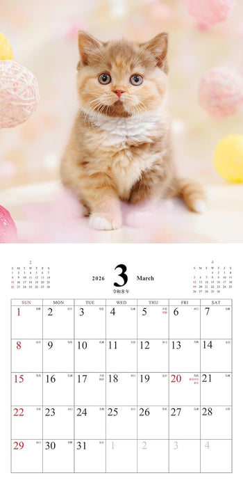 Koneko no Kimochi Calendar 2026