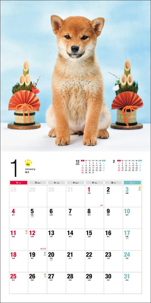 2026 Shibainu Calendar (Seibundo-shinkosha Calendar)