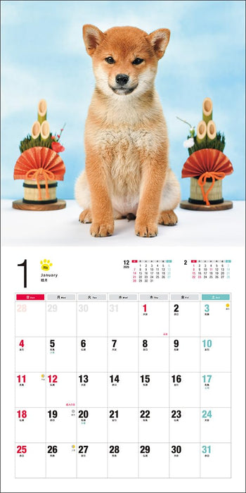 2026 Shibainu Calendar (Seibundo-shinkosha Calendar)