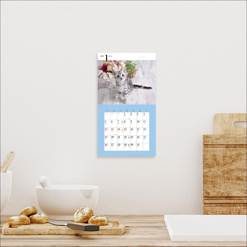 2025 Cute Kittens Calendar