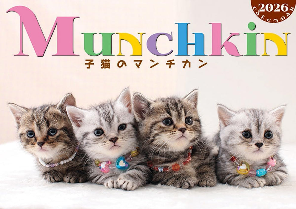 Try-X 2026 Wall Calendar Kitten Munchkin CL-382 51x36cm
