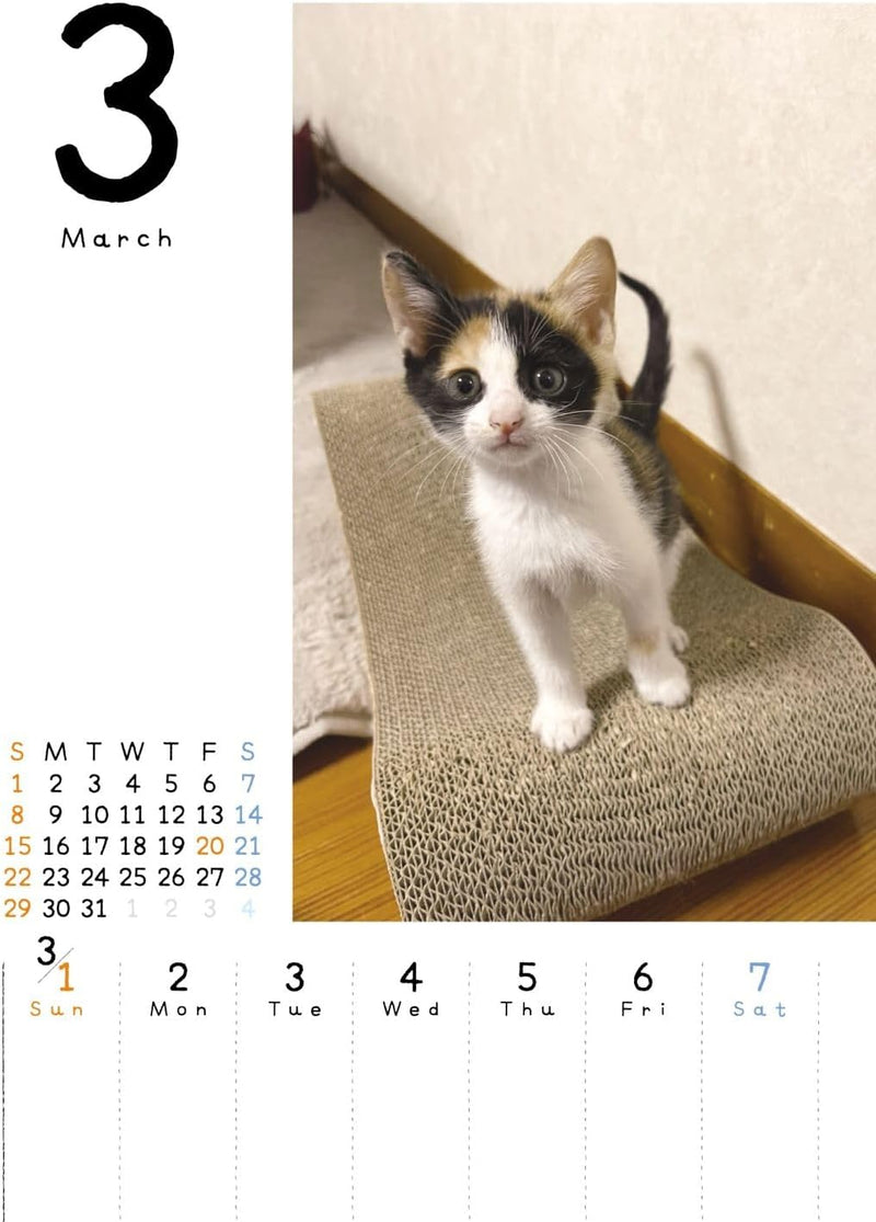Koneko Mekuri 2026 Desk Calendar CK-C26-03