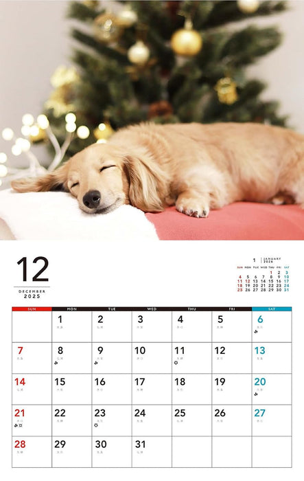 I LOVE Dachshund Calendar 2026 (Monthly/Wall Calendar)
