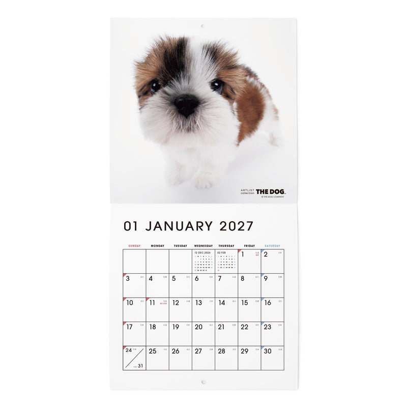 THE DOG 2027 Wall Calendar Mini Size [Shih Tzu]