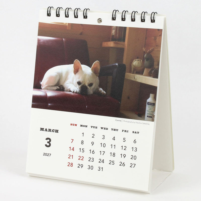 New Japan Calendar 2027 Desk Calendar Jumbo Moji NK8543