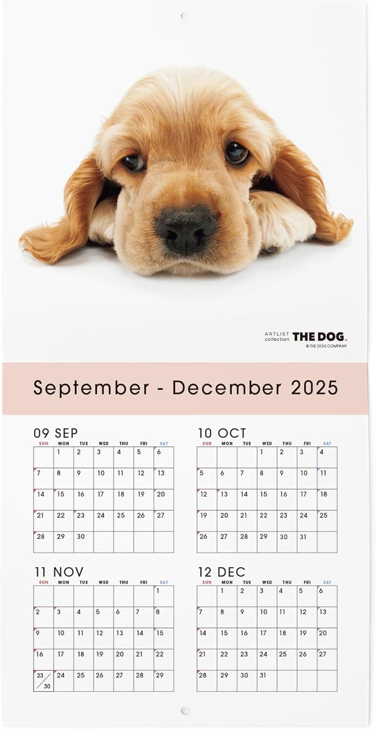 THE DOG 2026 Wall Calendar Mini Size [American Cocker Spaniel]