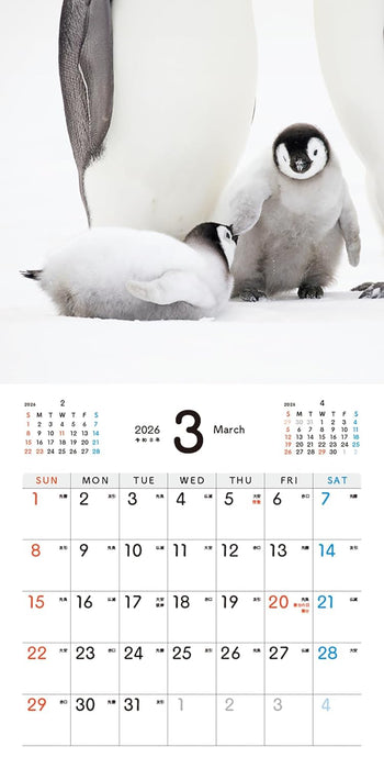 Baby Emperir Penguin Calendar 2026