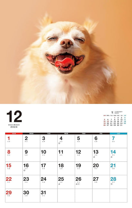 I LOVE Chihuahua Calendar 2025 (Monthly/Wall Calendar)