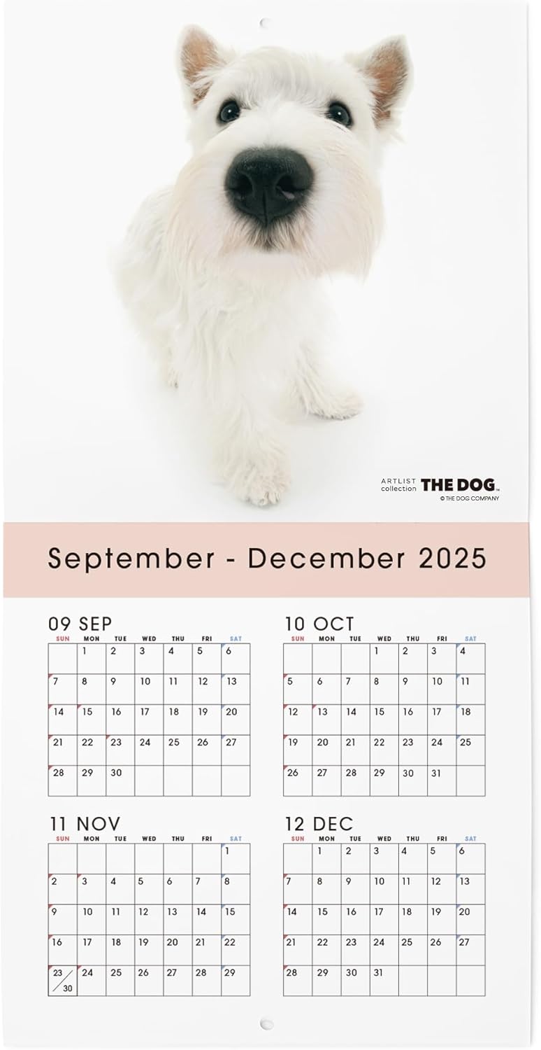THE DOG 2026 Wall Calendar Mini Size [West Highland White Terrier]