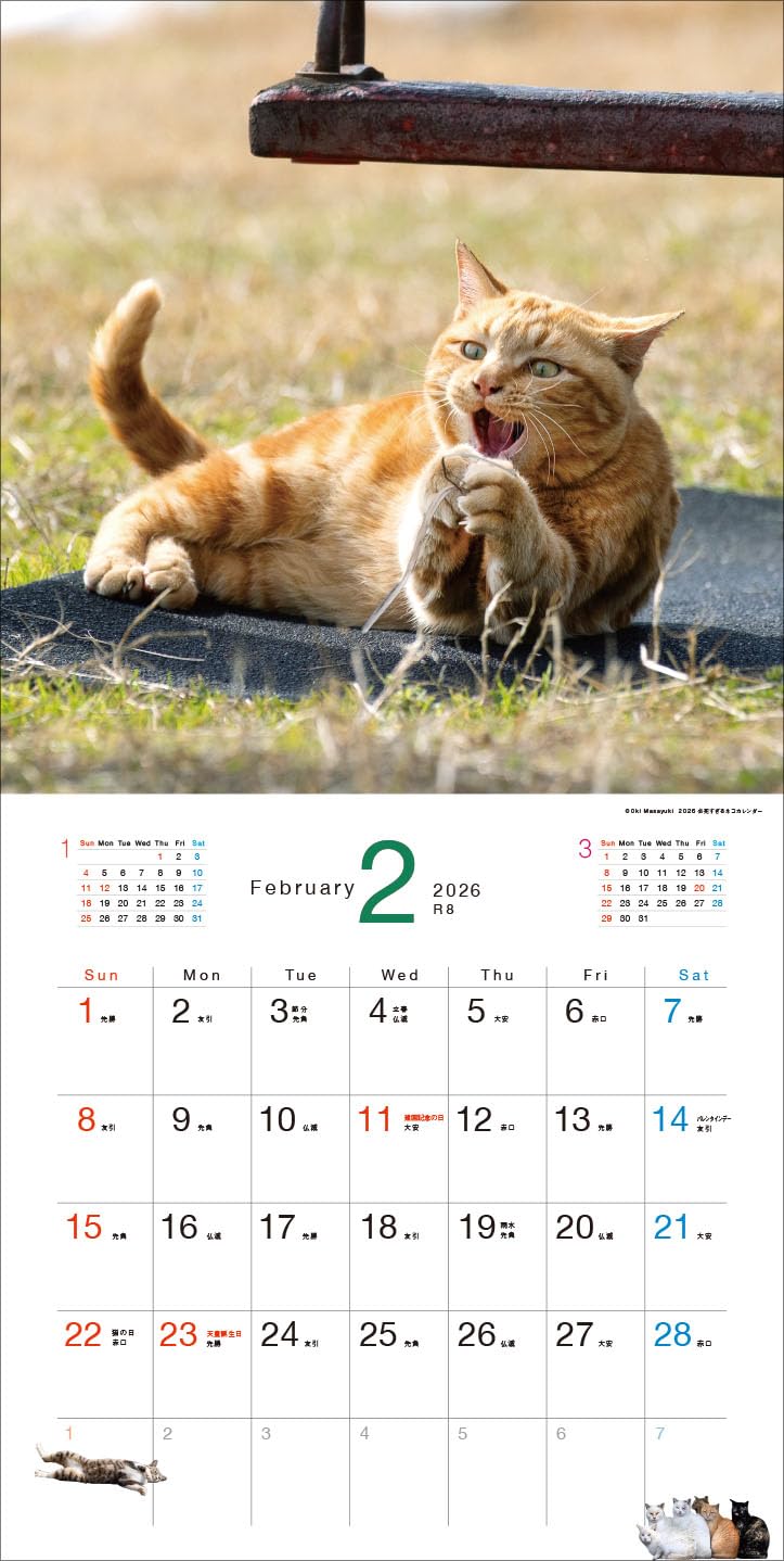 2026 Desperately Determined Cats Calendar