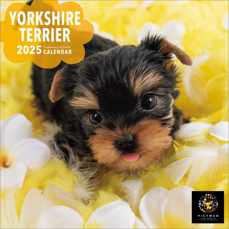PICTWAN 2025 Calendar S Edition Yorkshire Terrier CL25-1245
