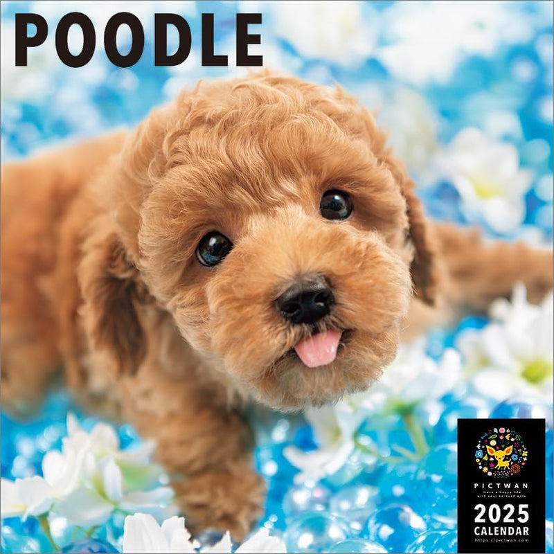 PICTWAN 2025 Calendar L Edition Poodle CL25-1222