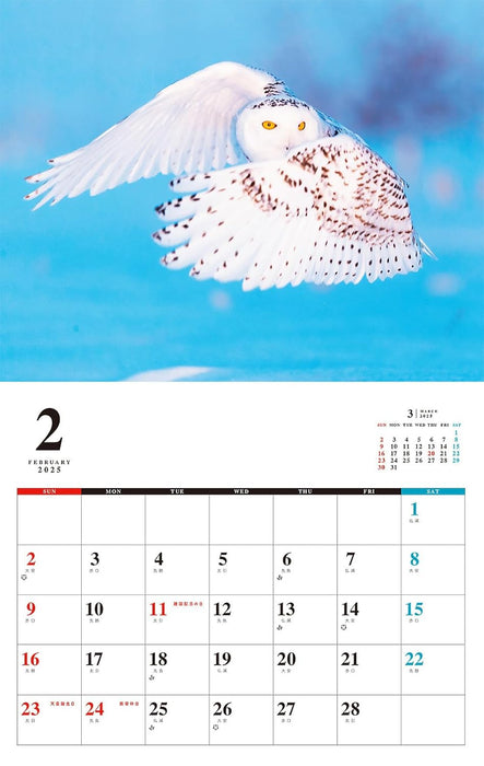 OWL Calendar 2025 (Monthly/Wall Calendar)