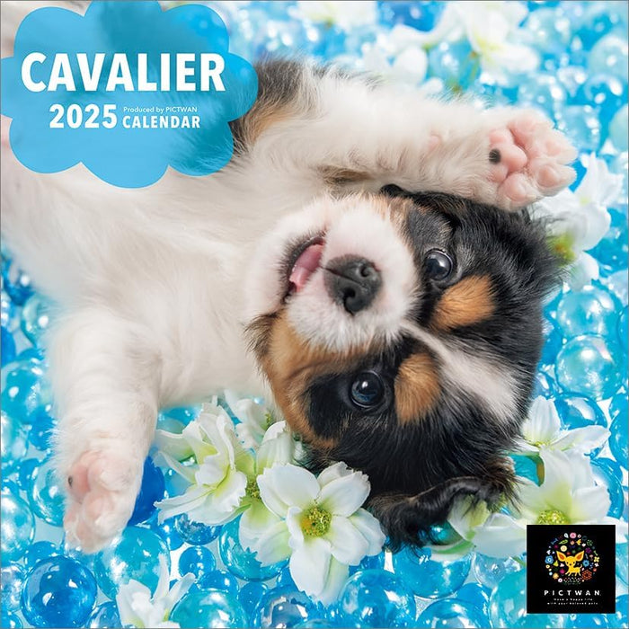 PICTWAN 2025 Calendar Cavalier - King Charles Spaniel - Small