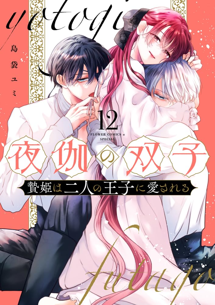 Yotogi no Futago - Niehime wa Futari no Ouji ni Aisareru - 12