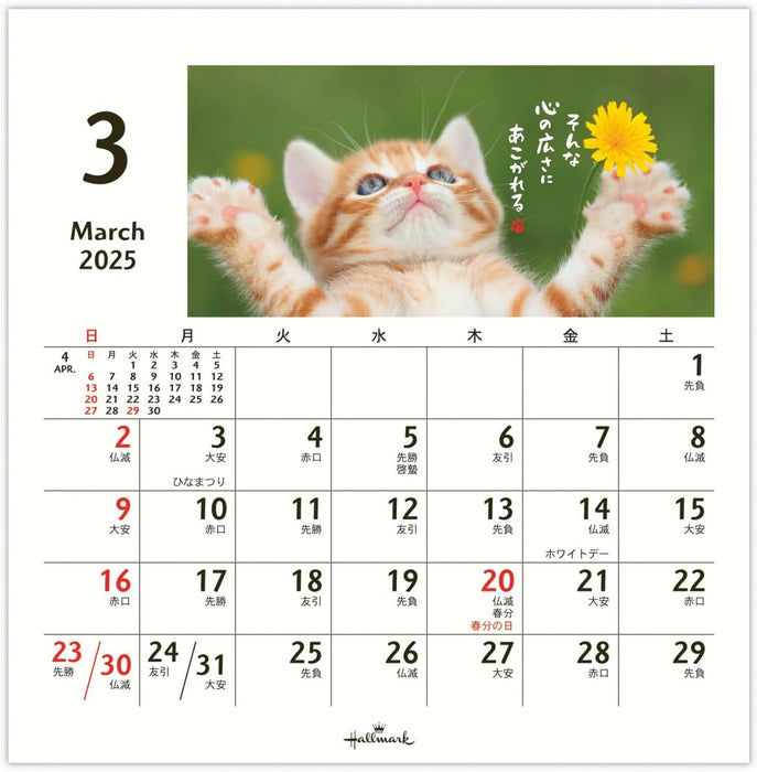 Hallmark 2025 Desk Calendar Homenyanko 834-845