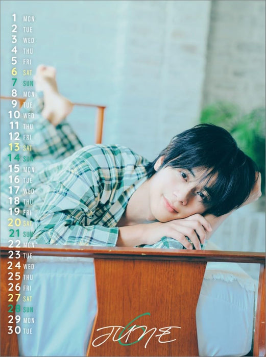 Hagoromo Ryunosuke Shimamura 2026 Desk Calendar CL26-0326