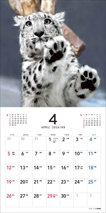 Almost Cats Calendar 2026