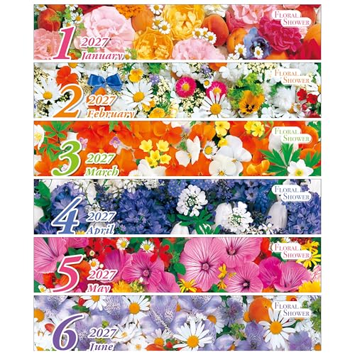 Todan 2027 Wall Calendar Floral Shower 53.5 x 38cm TD-827
