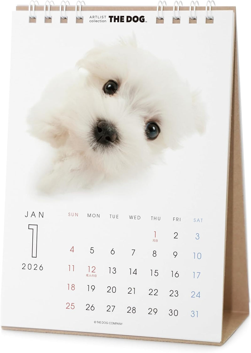 THE DOG 2026 Desk Calendar [Maltese]