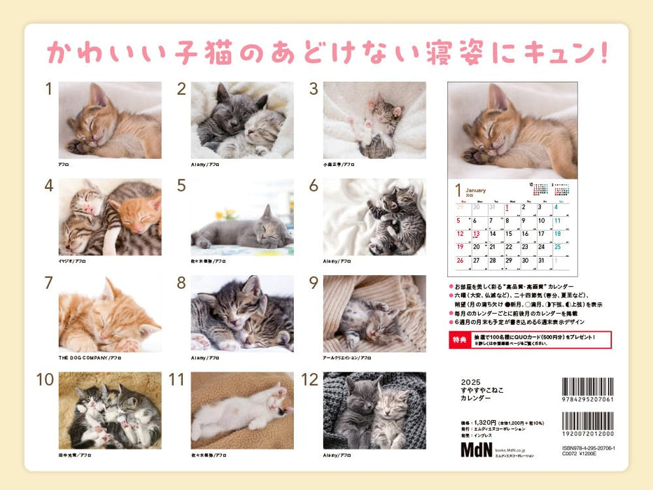 2025 Sleepy Kittens Calendar