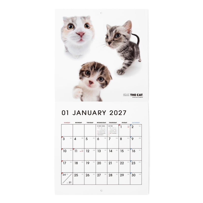 THE CAT 2027 Wall Calendar Mini Size [All Stars]