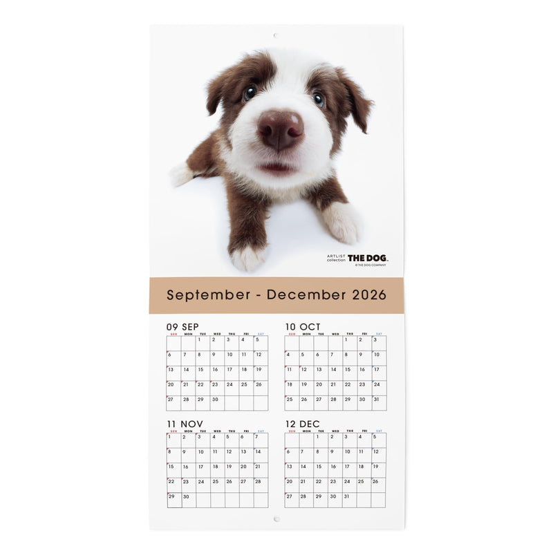THE DOG 2027 Wall Calendar Mini Size [Border Collie]