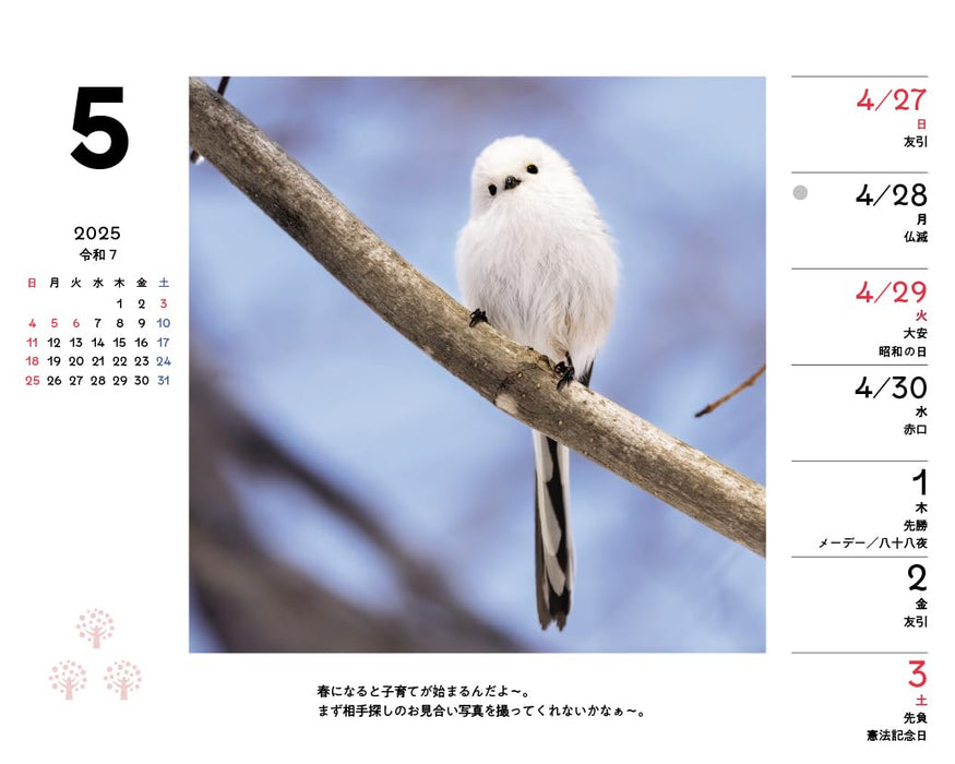 Shimaenaga and Friends of the Forest Weekly Desk Calendar 2025