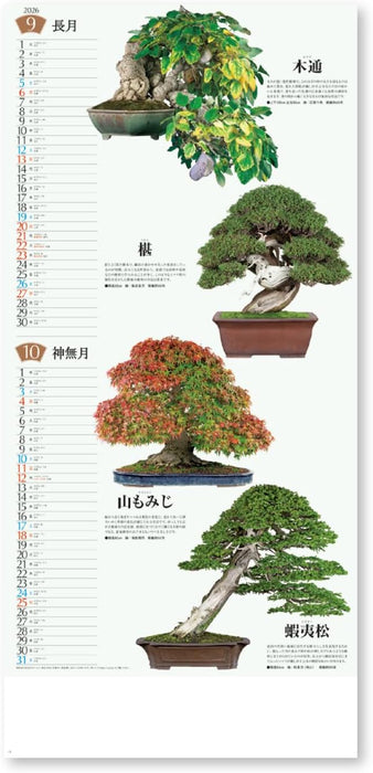 New Japan Calendar 2026 Wall Calendar Bonsai Calendar NK152 770x350mm