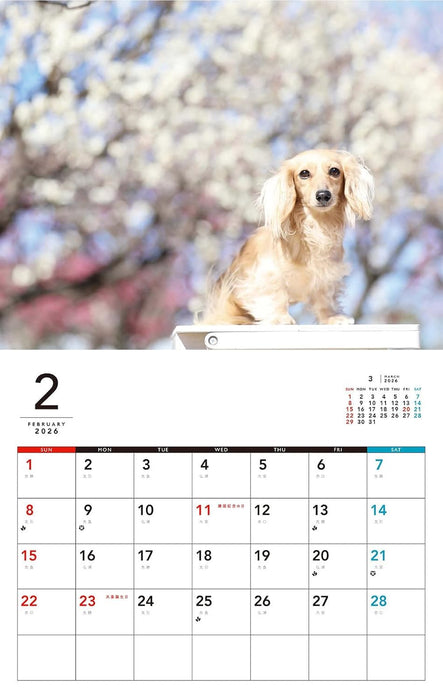 I LOVE Dachshund Calendar 2026 (Monthly/Wall Calendar)