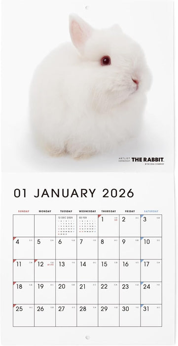 THE RABBIT 2026 Wall Calendar Mini Size