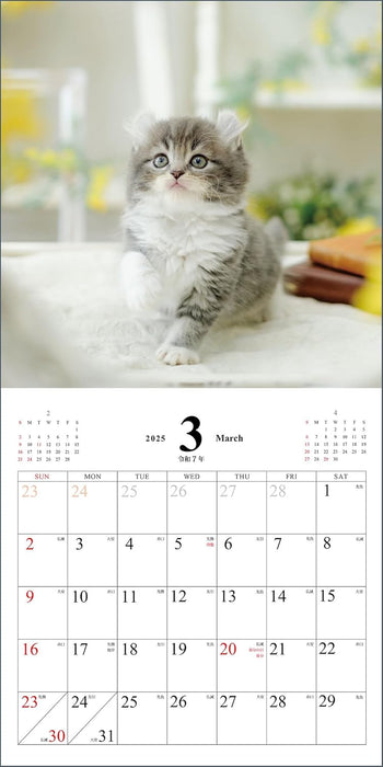 Koneko no Kimochi Calendar 2025 (Monthly/Wall Calendar)