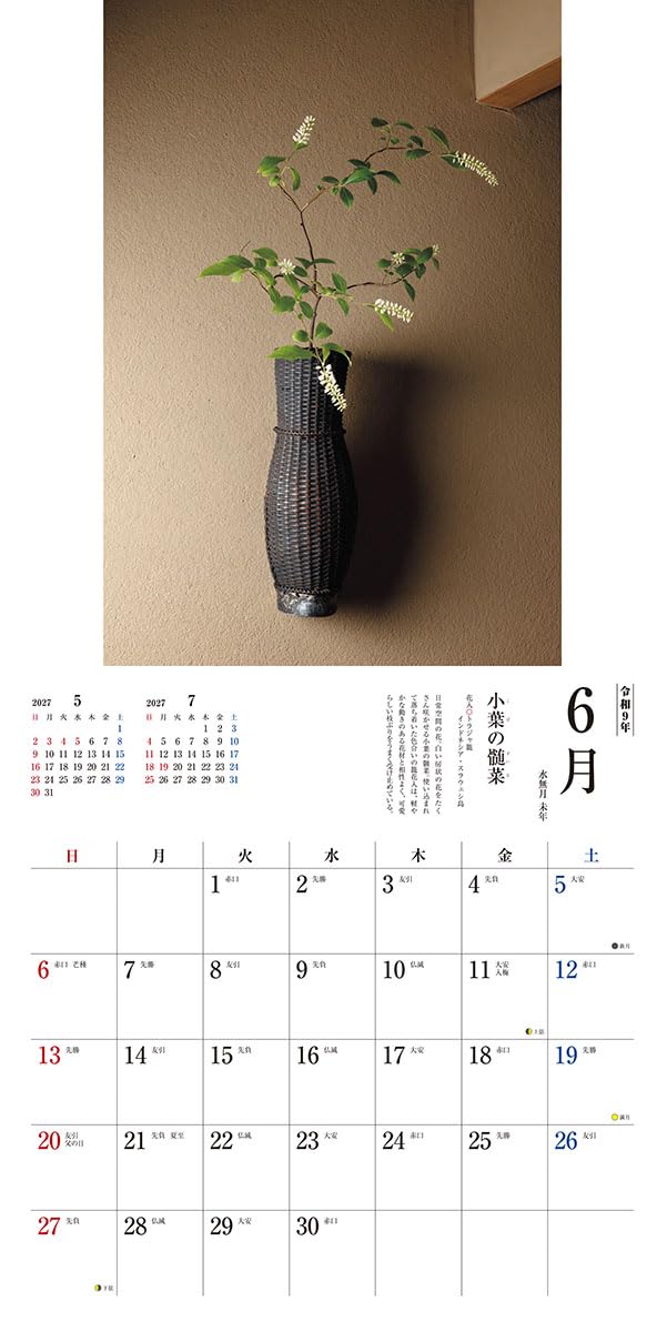 Try-X 2027 Wall Calendar Tea Flower 27CL-476 60x30cm