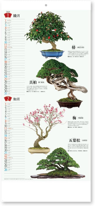 New Japan Calendar 2026 Wall Calendar Bonsai Calendar NK152 770x350mm