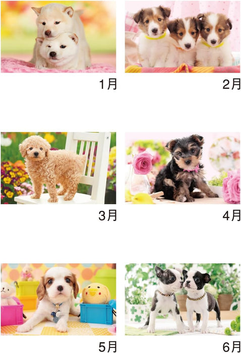 New Japan Calendar 2025 Wall Calendar Thank you! Dog NK454