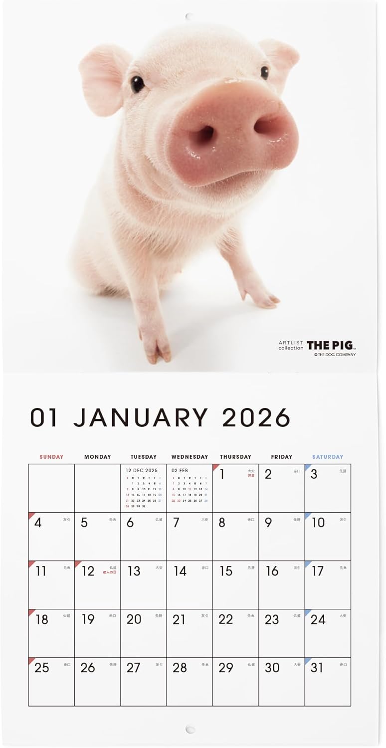 THE PIG 2026 Wall Calendar Mini Size [Pig]