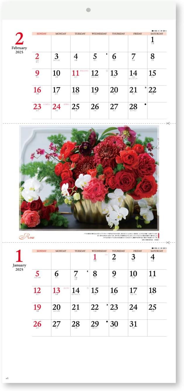 New Japan Calendar 2025 Wall Calendar Floral Healing Moji 2 Months Type NK903