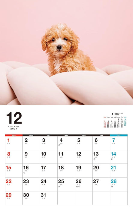 I LOVE Poodle Calendar 2025(Monthly/Wall Calendar)