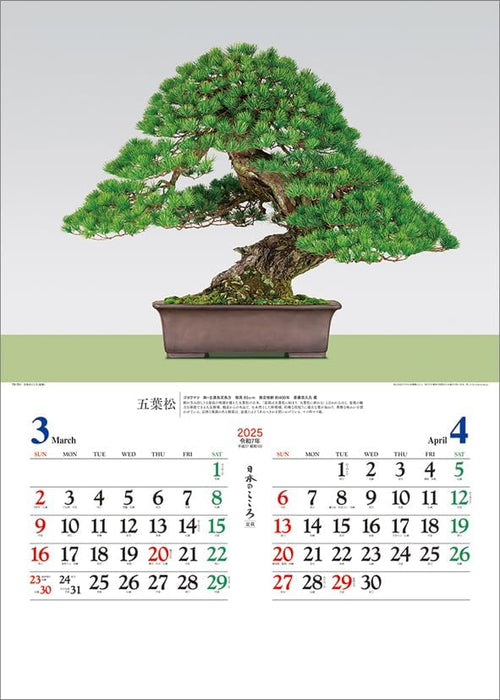 Todan 2025 Wall Calendar Japanese Heart Bonsai CL25-1073