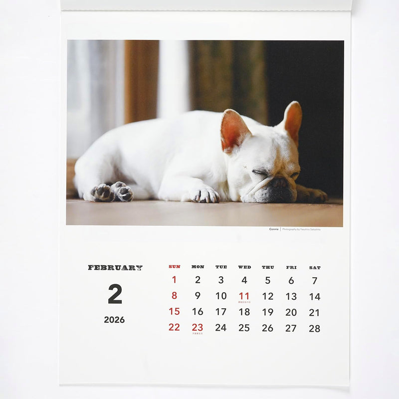 Greeting Life 2026 Wall Calendar NATSUHIKO FAMILY C-1741-NA
