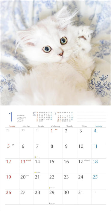 2025 Kimagure Nyanko Wall Calendar